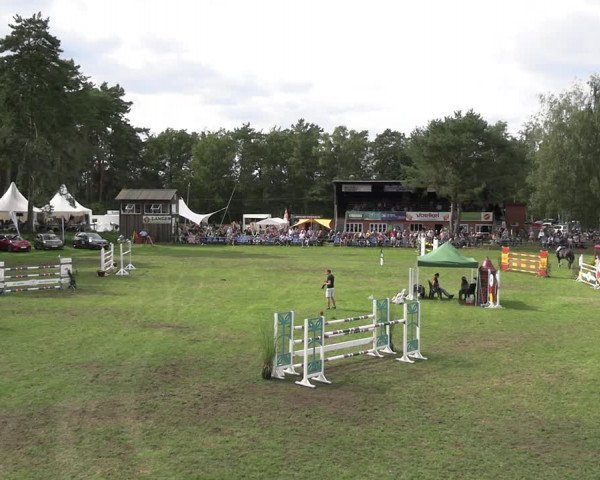 Reitturnier Dannenberg 2023