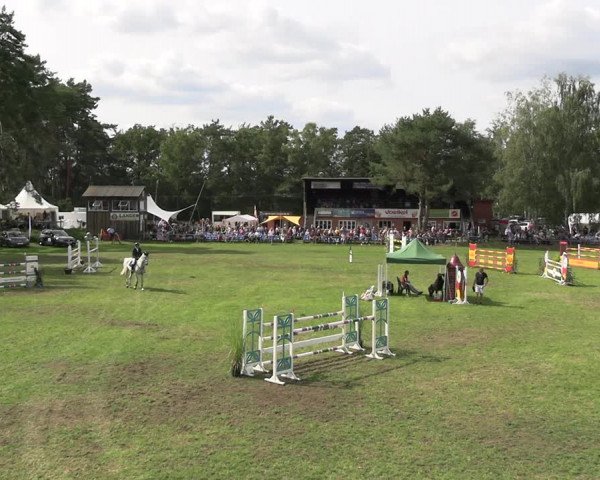 Reitturnier Dannenberg 2023