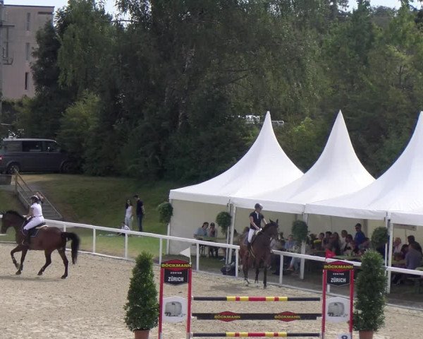Reitturnier Bülach 2023