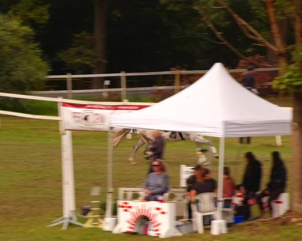 Reitturnier Müncheberg 2023