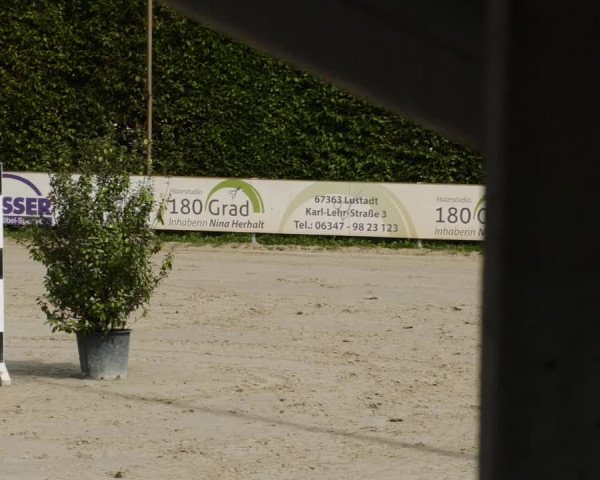 Reitturnier Zeiskam 2023