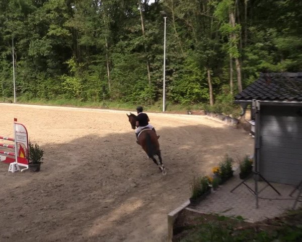 Reitturnier Köln-Flittard (Scheuerhof) 2023