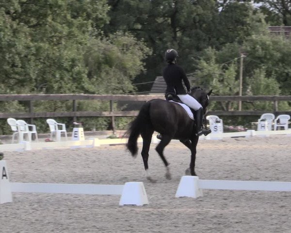 Reitturnier Müncheberg 2023