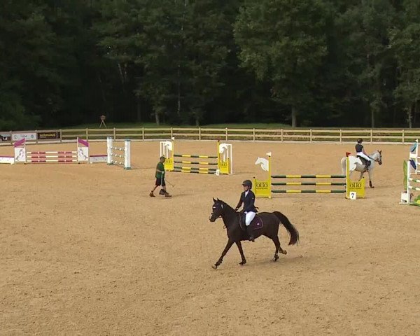 Reitturnier Tiefenhof 2023