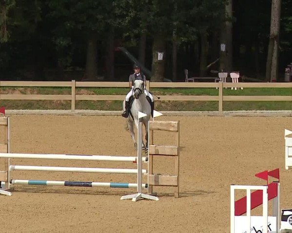 Reitturnier Tiefenhof 2023