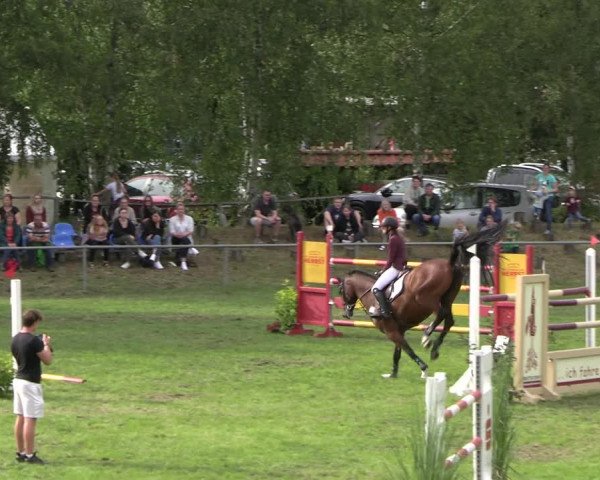 Reitturnier Dannenberg 2023