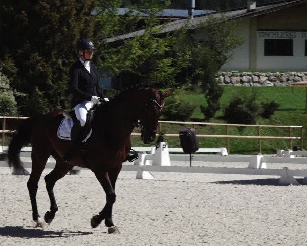 Reitturnier St. Ulrich am Pillersee 2023