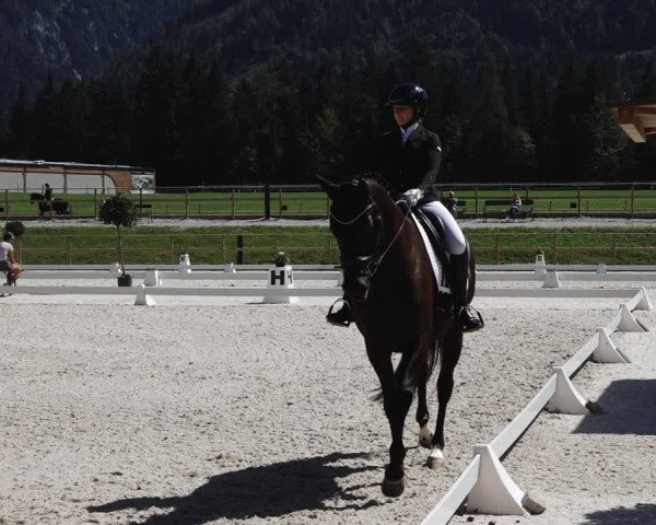 Reitturnier St. Ulrich am Pillersee 2023