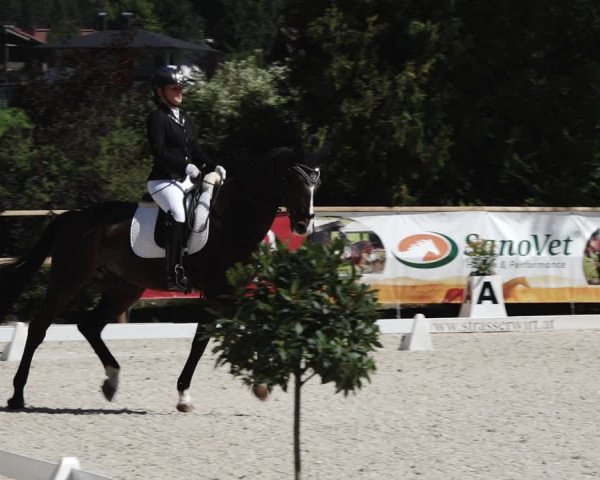 Reitturnier St. Ulrich am Pillersee 2023