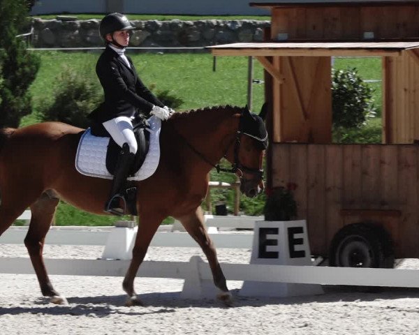 Reitturnier St. Ulrich am Pillersee 2023