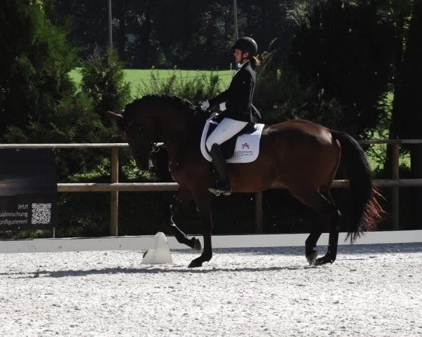 Reitturnier St. Ulrich am Pillersee 2023