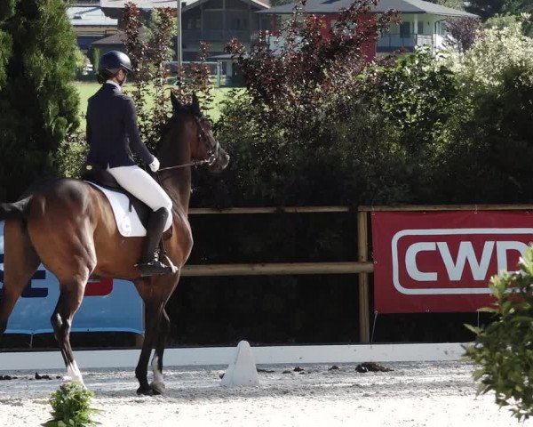 Reitturnier St. Ulrich am Pillersee 2023