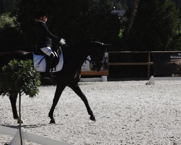 Reitturnier St. Ulrich am Pillersee 2023