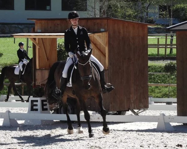Reitturnier St. Ulrich am Pillersee 2023
