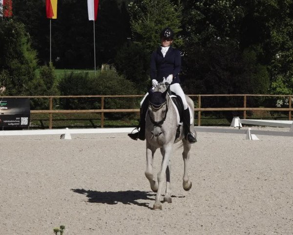 Reitturnier St. Ulrich am Pillersee 2023