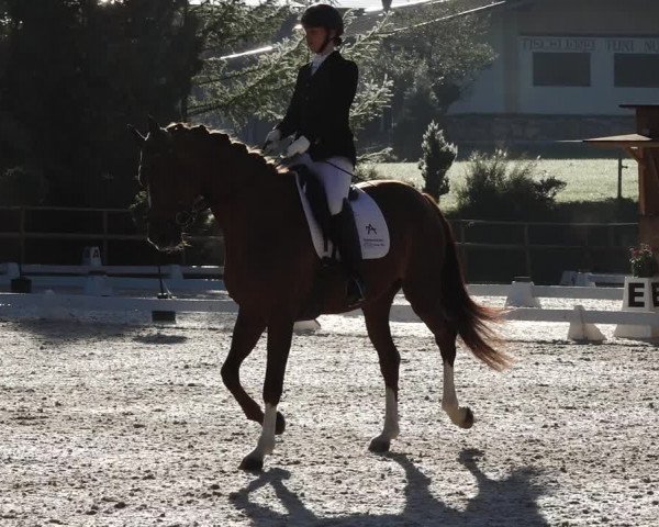 Reitturnier St. Ulrich am Pillersee 2023
