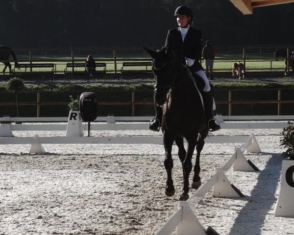 Reitturnier St. Ulrich am Pillersee 2023