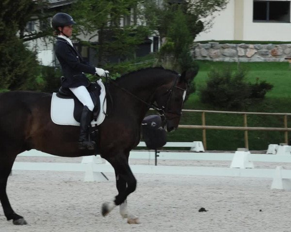 Reitturnier St. Ulrich am Pillersee 2023