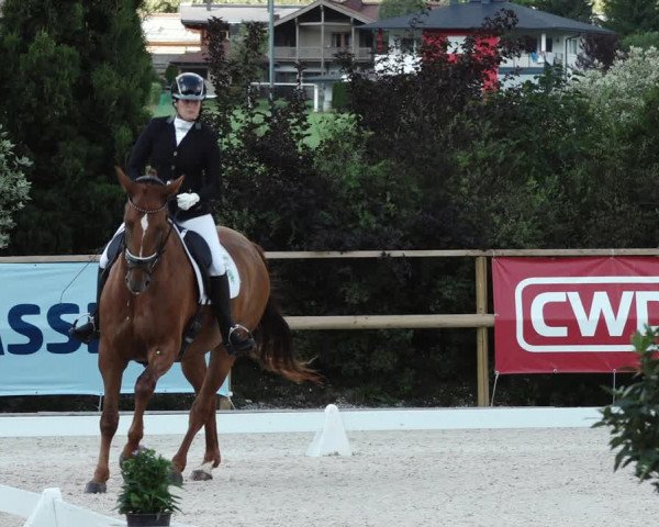 Reitturnier St. Ulrich am Pillersee 2023