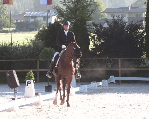 Reitturnier St. Ulrich am Pillersee 2023