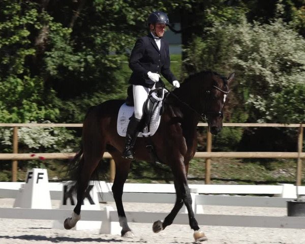Reitturnier St. Ulrich am Pillersee 2023