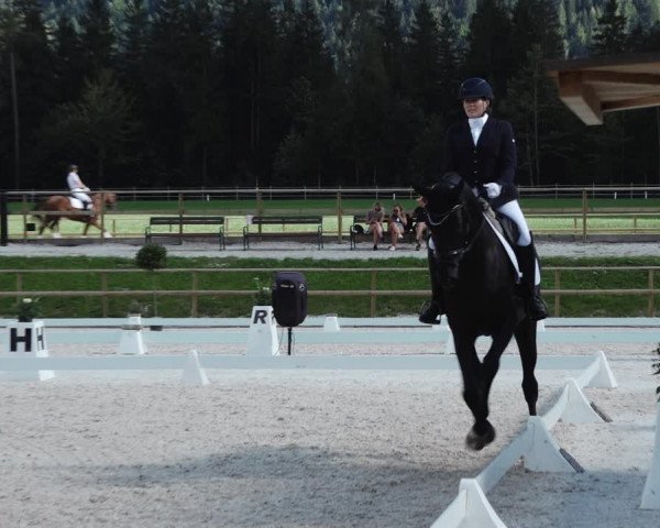 Reitturnier St. Ulrich am Pillersee 2023