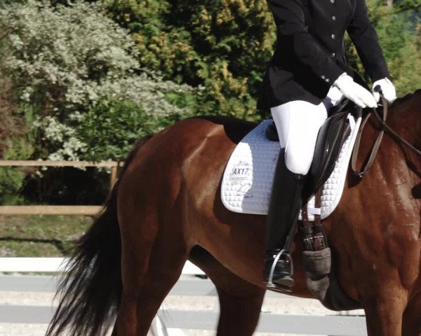 Reitturnier St. Ulrich am Pillersee 2023