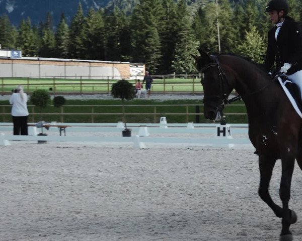 Reitturnier St. Ulrich am Pillersee 2023