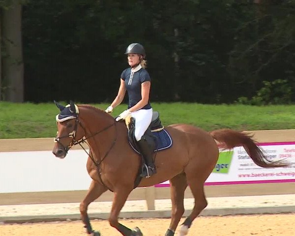 Reitturnier Tiefenhof 2023