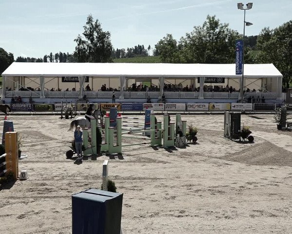 Reitturnier Humlikon 2023