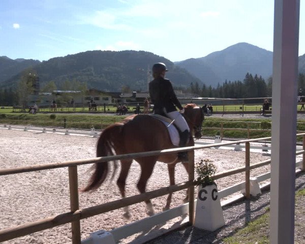 Reitturnier St. Ulrich am Pillersee 2023