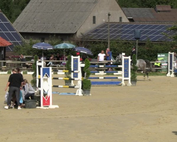 Reitturnier Vlotho-Valdorf 2023
