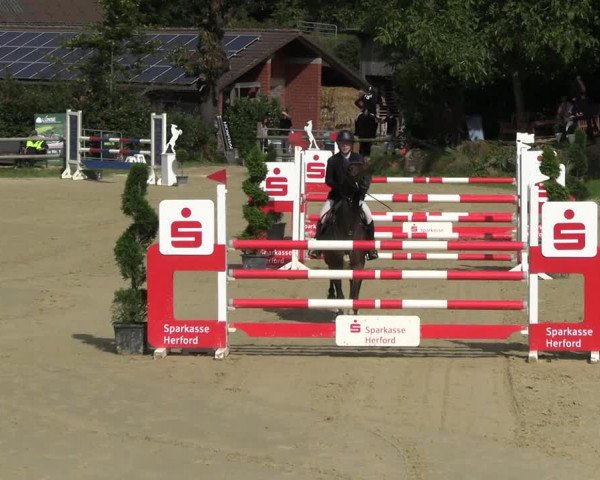 Reitturnier Vlotho-Valdorf 2023