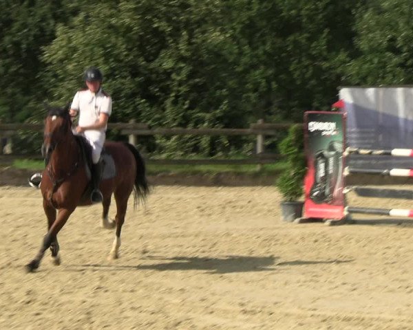 Reitturnier Vlotho-Valdorf 2023