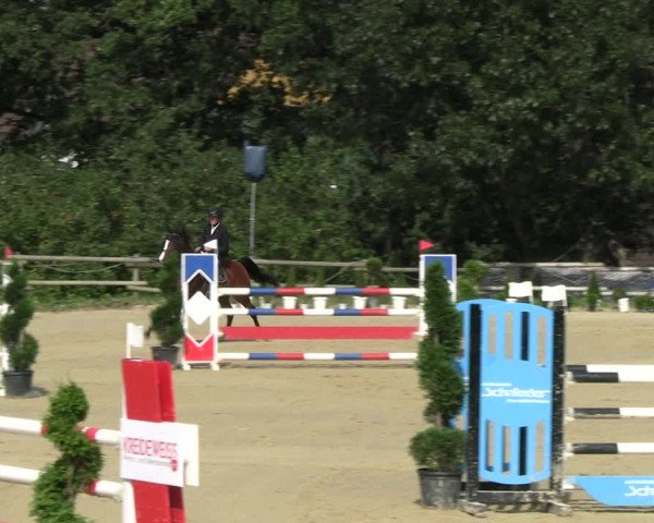 Reitturnier Vlotho-Valdorf 2023