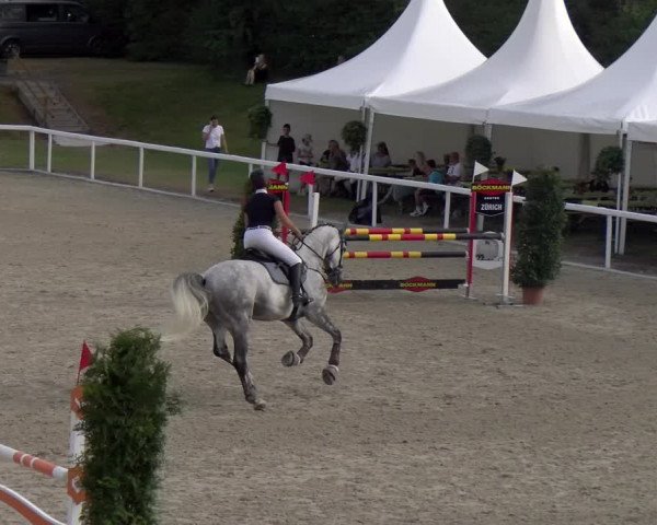 Reitturnier Bülach 2023