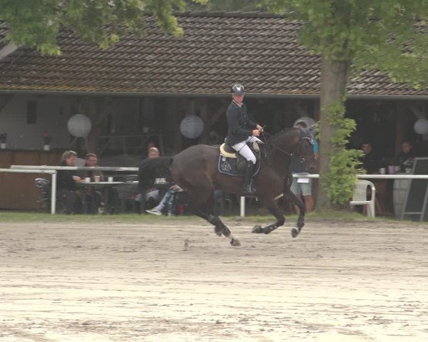 Reitturnier Richelsdorf 2023
