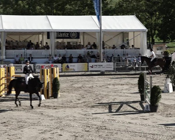 Reitturnier Humlikon 2023