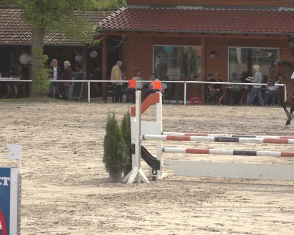 Reitturnier Richelsdorf 2023