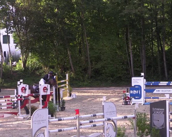 Reitturnier Köln-Flittard (Scheuerhof) 2023
