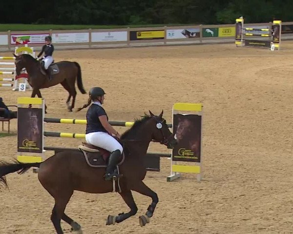 Reitturnier Tiefenhof 2023