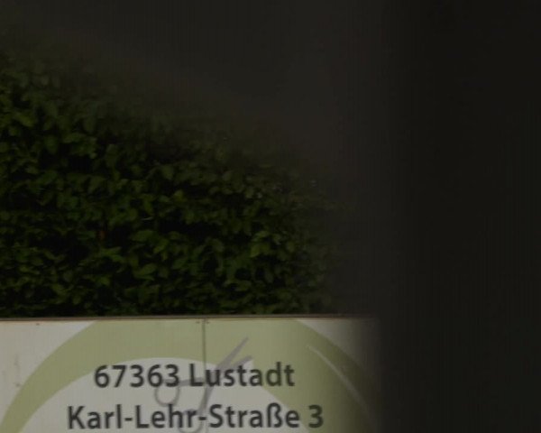 Reitturnier Zeiskam 2023