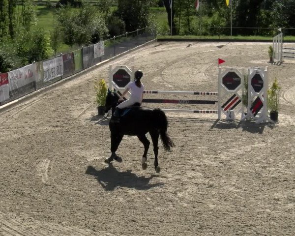 Reitturnier Maienfeld 2023