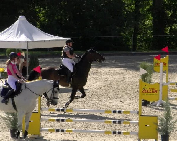 Reitturnier Maienfeld 2023