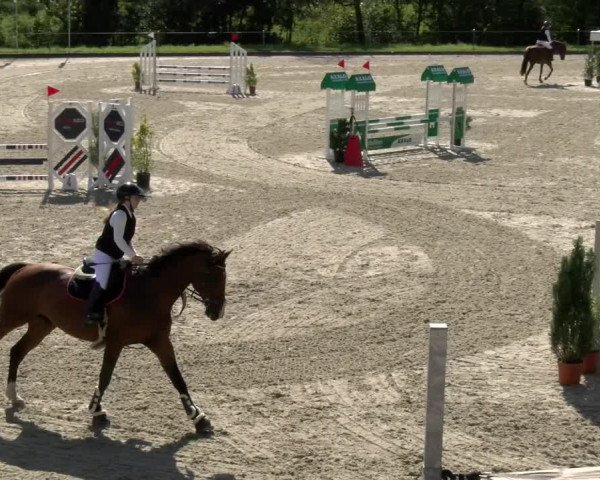 Reitturnier Maienfeld 2023