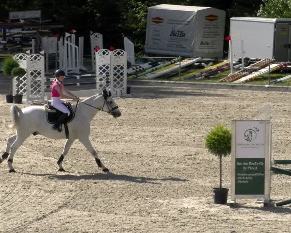 Reitturnier Maienfeld 2023