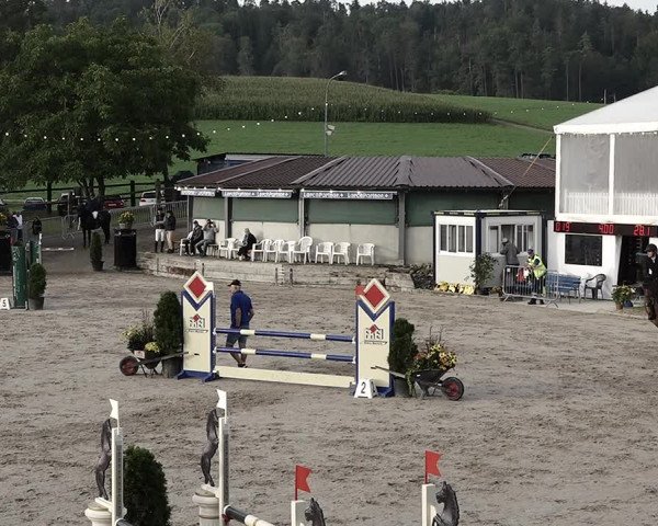 Reitturnier Humlikon 2023