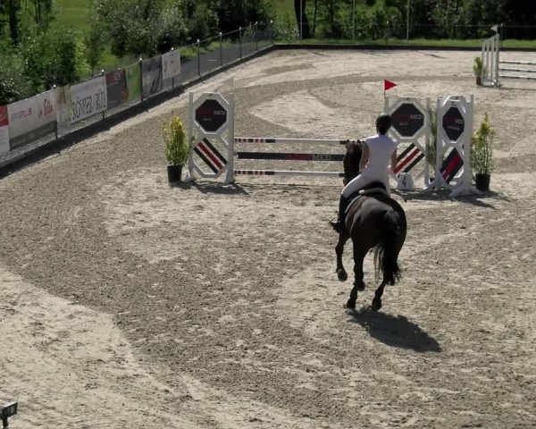 Reitturnier Maienfeld 2023