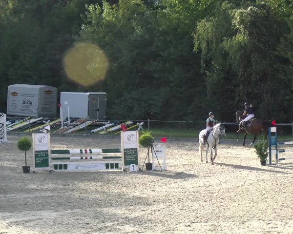 Reitturnier Maienfeld 2023