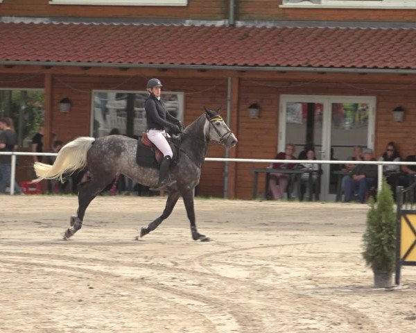 Reitturnier Richelsdorf 2023